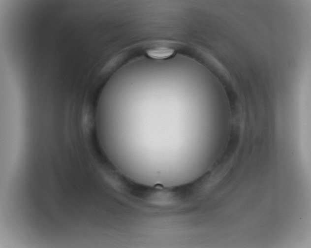 X0000113760119200910071139