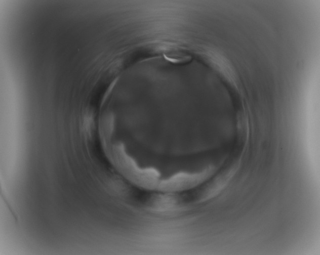 X0000113760127200910071139