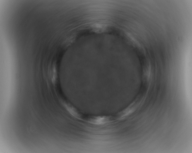 X0000113760130200910071139