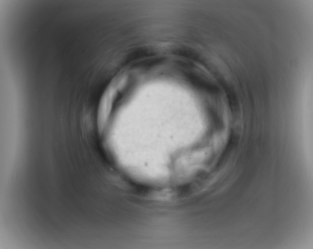 X0000113760131200910071139