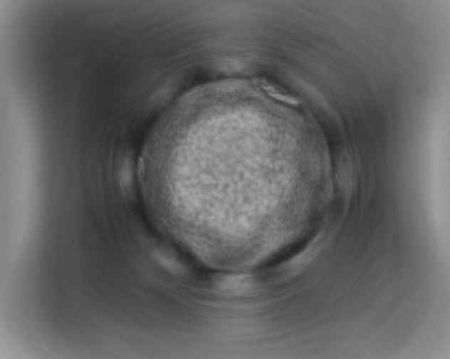 X0000113760132200910071139