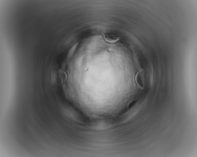 X0000113760134200910071139