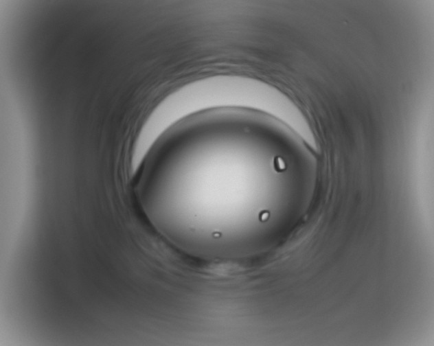 X0000113760137200910071139