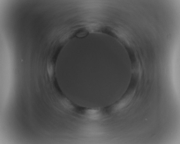 X0000113760139200910071139