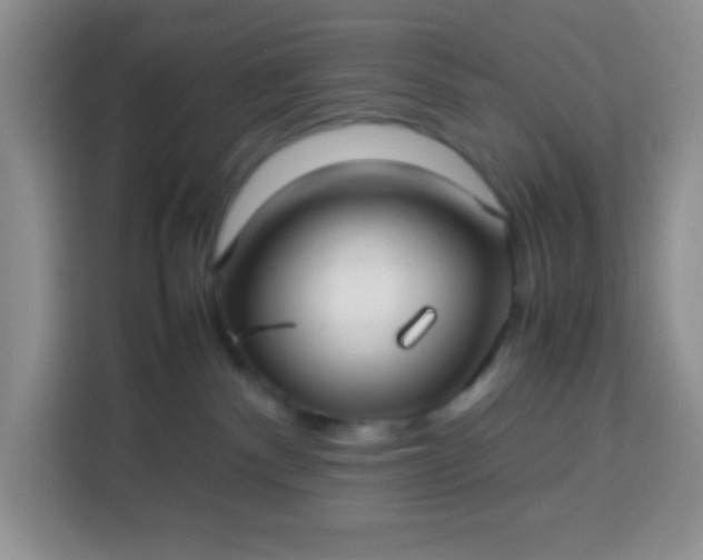 X0000113760140200910071139