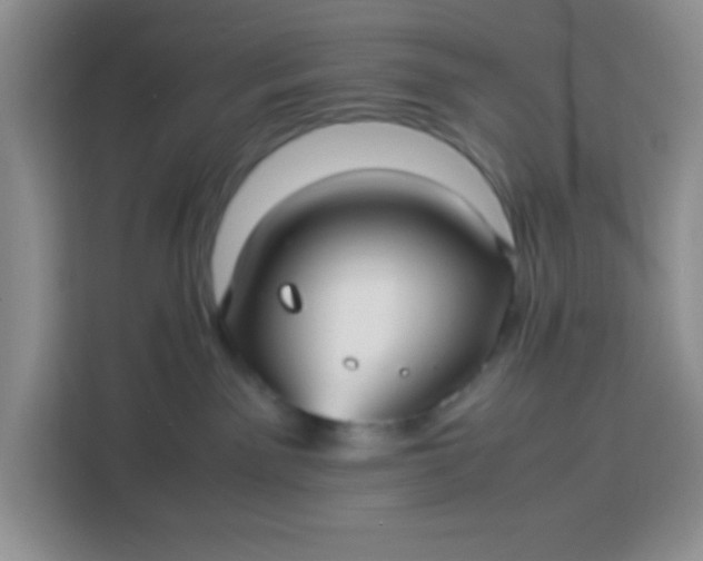 X0000113760141200910071139