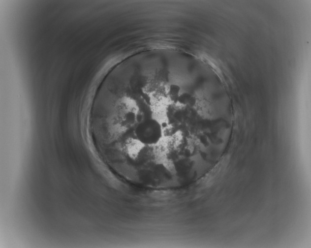 X0000113760145200910071138