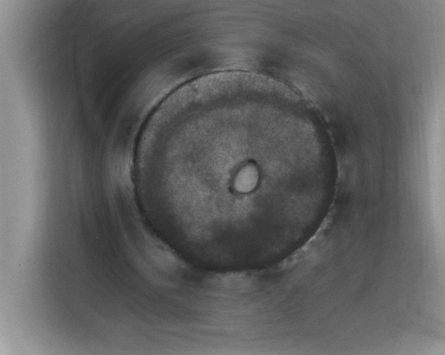 X0000113760146200910071138
