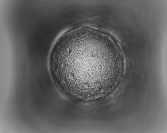 X0000113760147200910071138