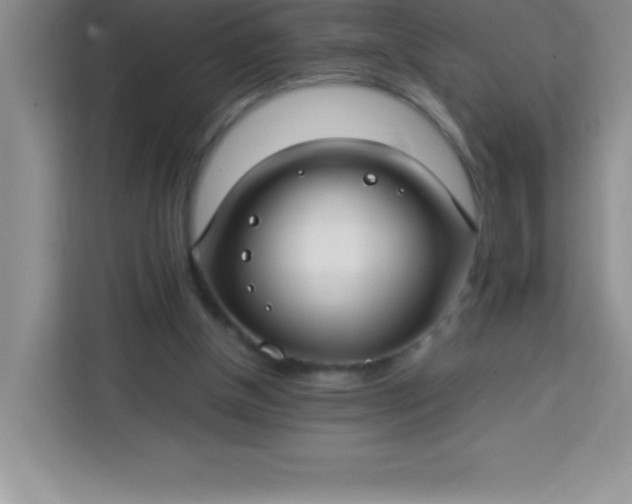 X0000113760154200910071138