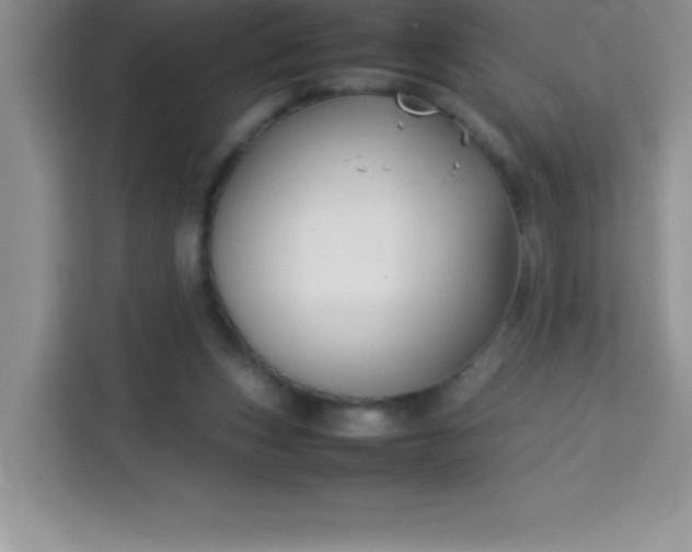 X0000113760159200910071139