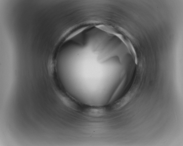 X0000113760160200910071139