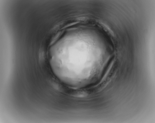 X0000113760161200910071139