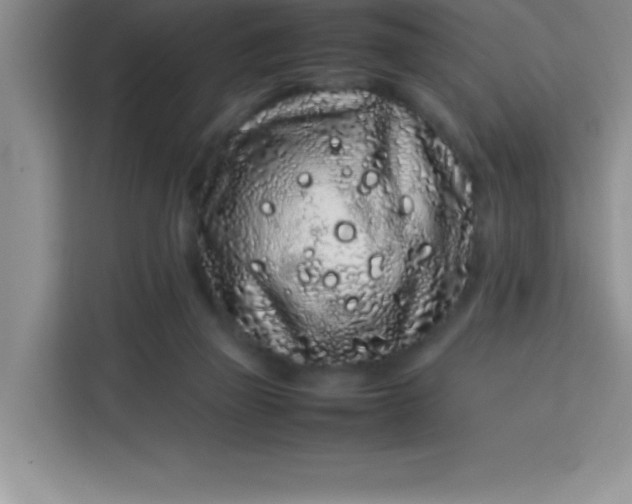 X0000113760165200910071139