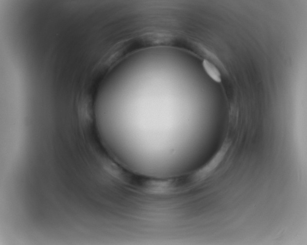 X0000113760170200910071139