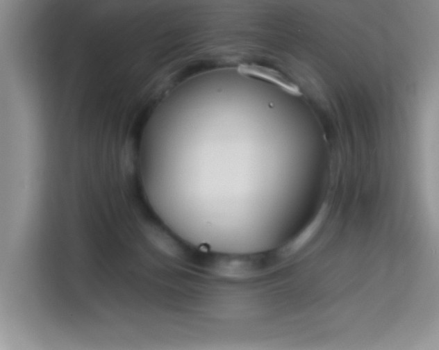 X0000113760174200910071139