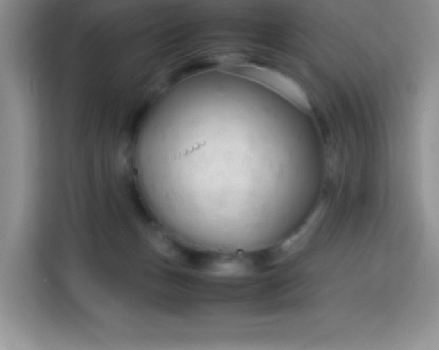 X0000113760175200910071139