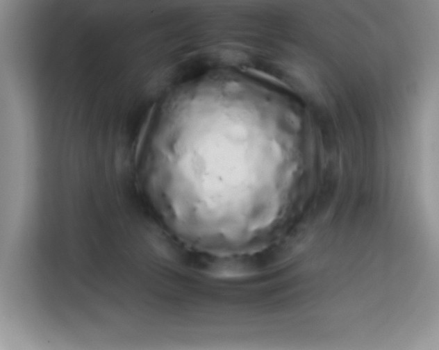 X0000113760177200910071139