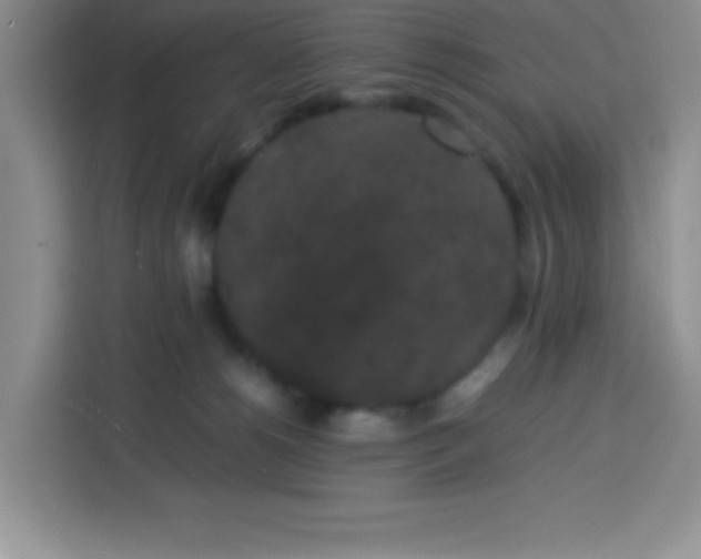 X0000113760180200910071139