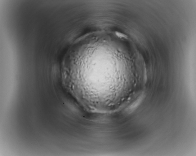 X0000113760182200910071139