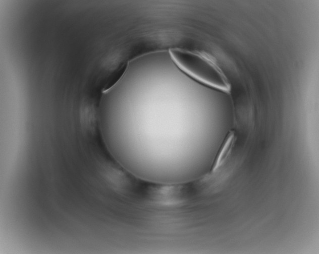 X0000113760184200910071139