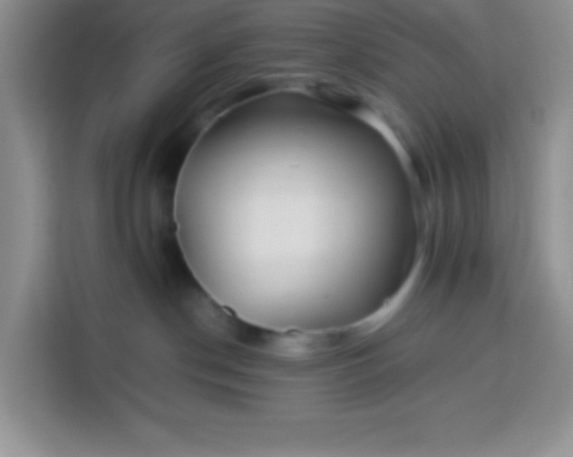 X0000113760190200910071139