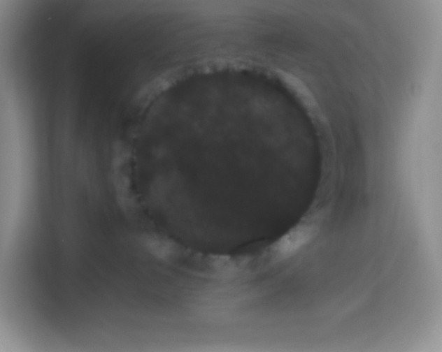 X0000113760192200910071139