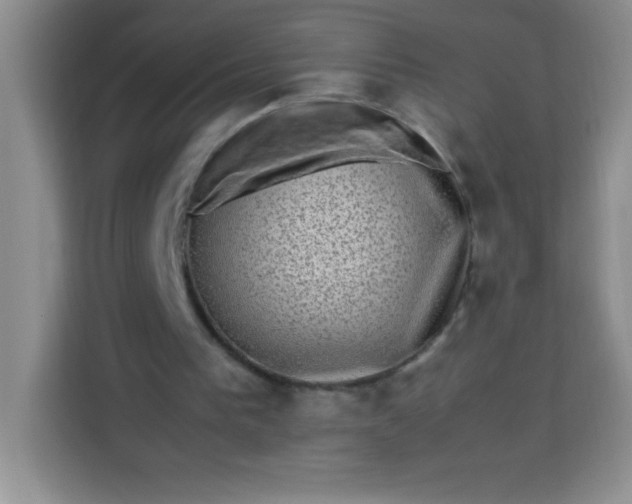X0000113760193200910071138