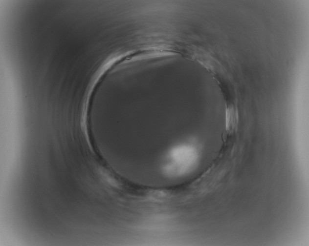 X0000113760195200910071138