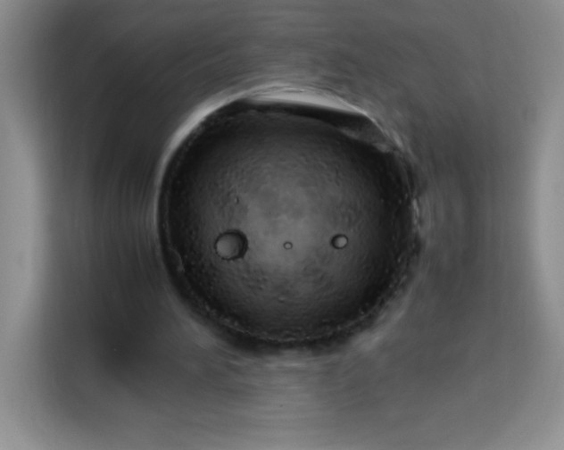 X0000113760196200910071138