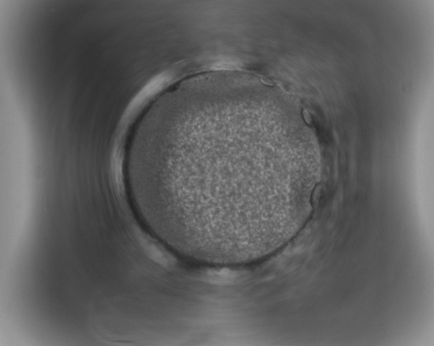 X0000113760197200910071138