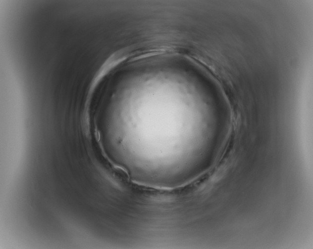 X0000113760198200910071138