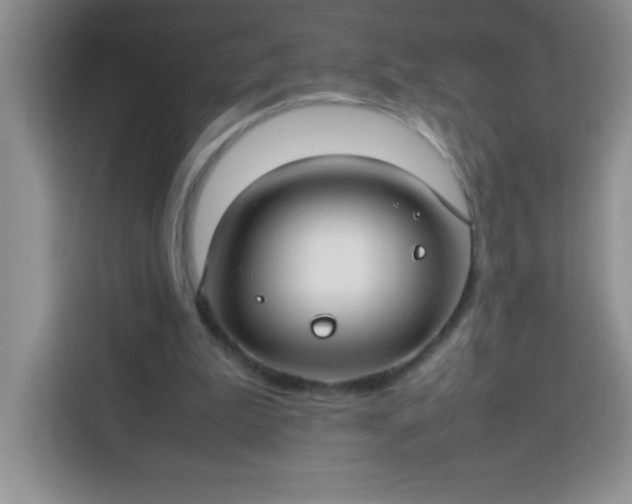 X0000113760199200910071138