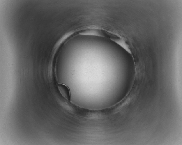 X0000113760200200910071138