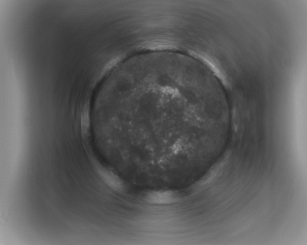 X0000113760202200910071138