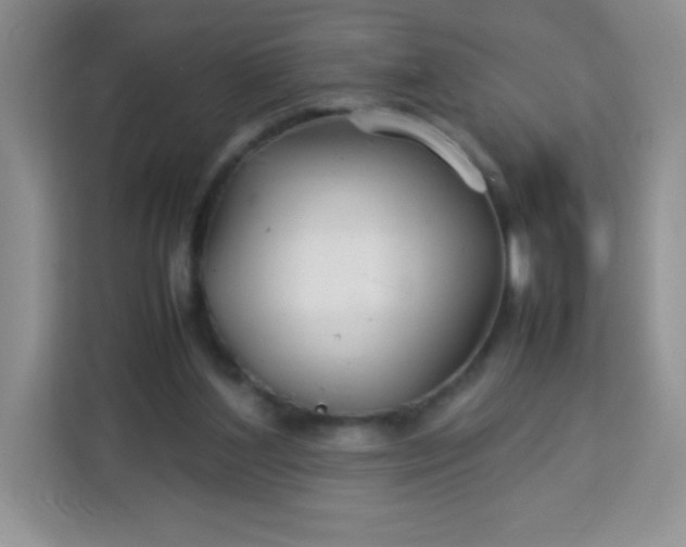X0000113760204200910071138