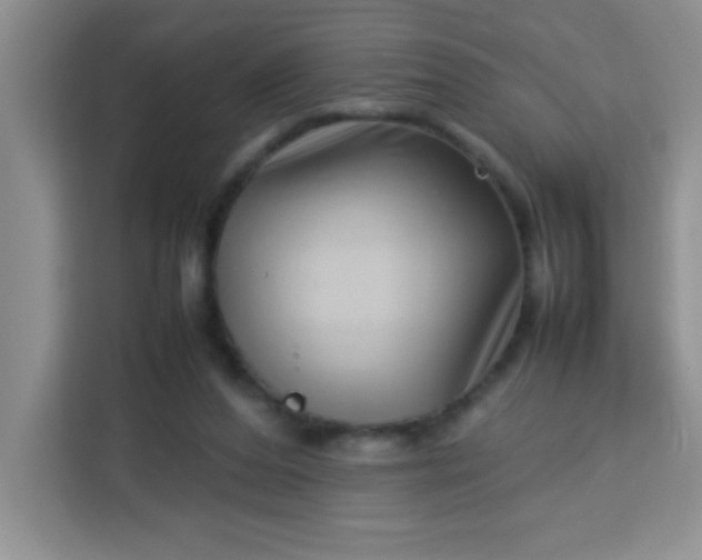 X0000113760208200910071138
