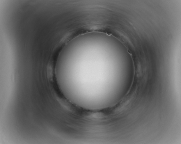X0000113760210200910071138