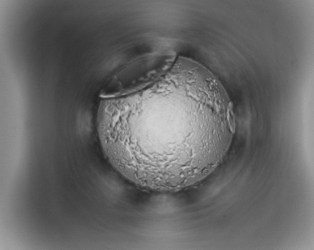 X0000113760211200910071138