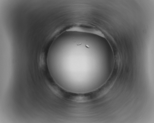 X0000113760212200910071138