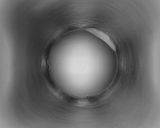 X0000113760214200910071138