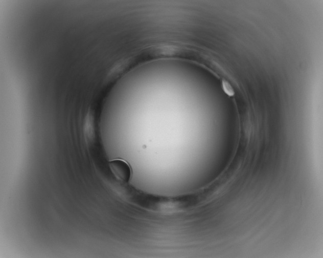 X0000113760216200910071138