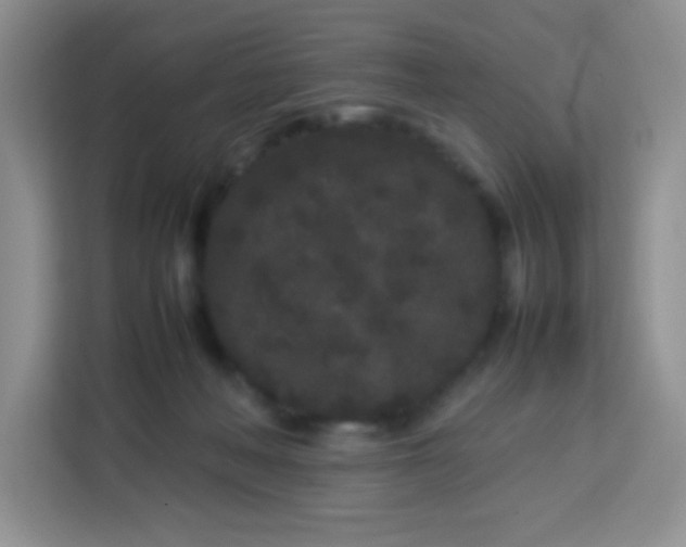 X0000113760222200910071138