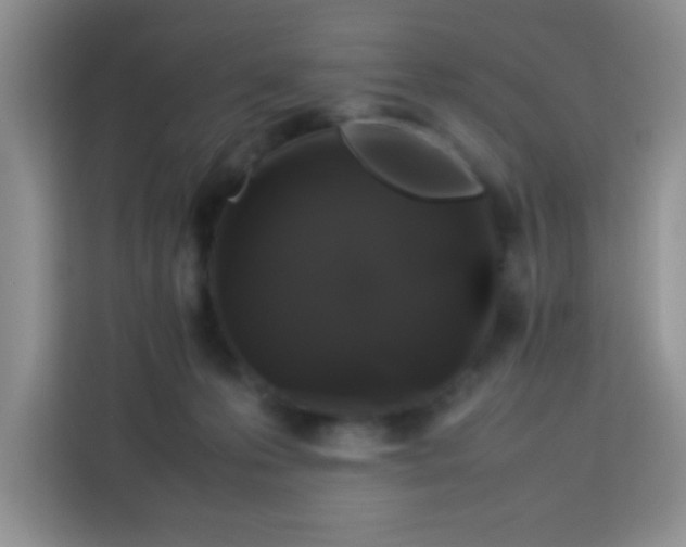 X0000113760223200910071138