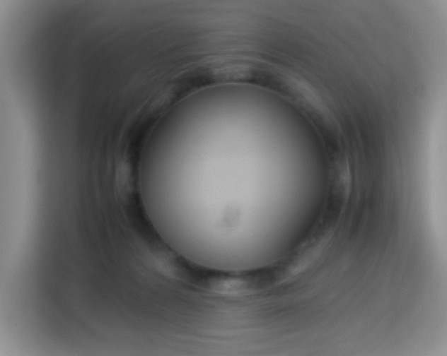 X0000113760224200910071138