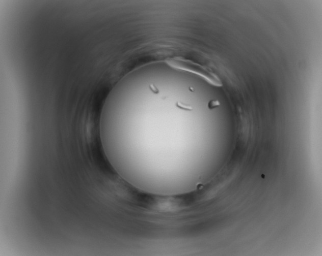 X0000113760226200910071138