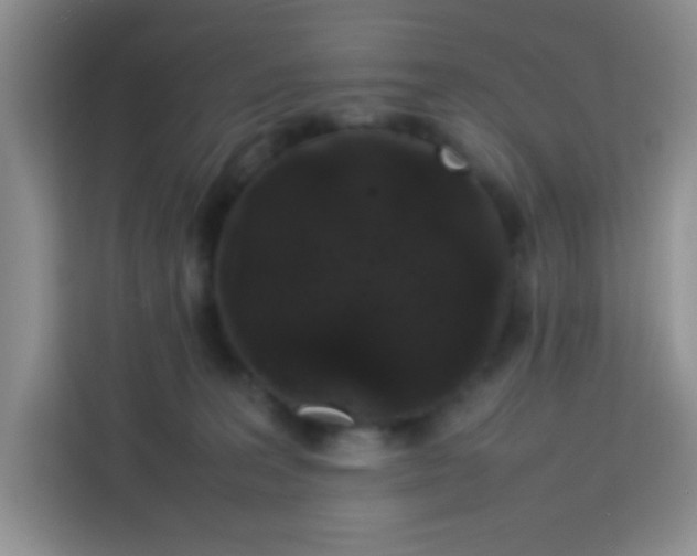 X0000113760227200910071138