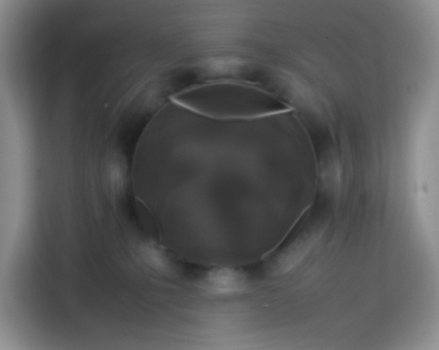 X0000113760231200910071138