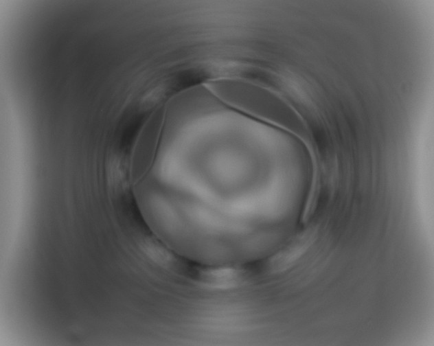 X0000113760237200910071138