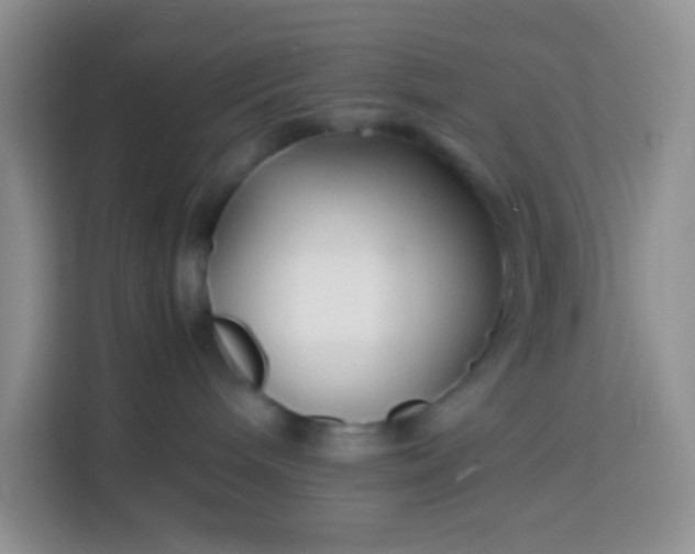 X0000113760240200910071138